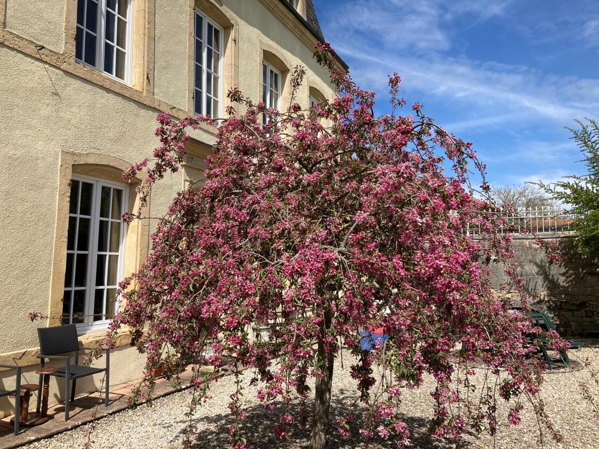 Maison Les Beaux Arts Mouzay  Екстер'єр фото